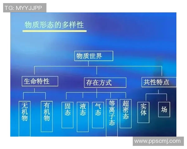 南京排球队意识表现分析：数据揭示团队协作与个人能力的关系