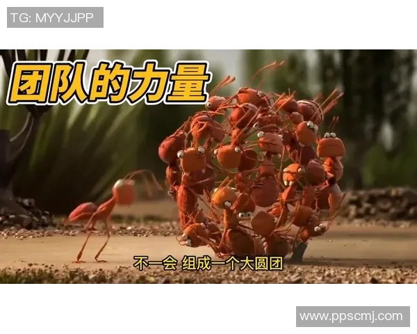 杭州乒乓球队的崛起之路:探索团队力量与竞技精神的完美结合 杭州乒乓球队的崛起之路:探索团队力量与竞技精神的完美结合